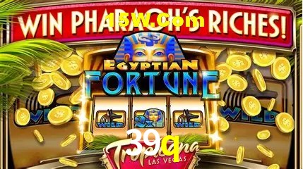  39q.com